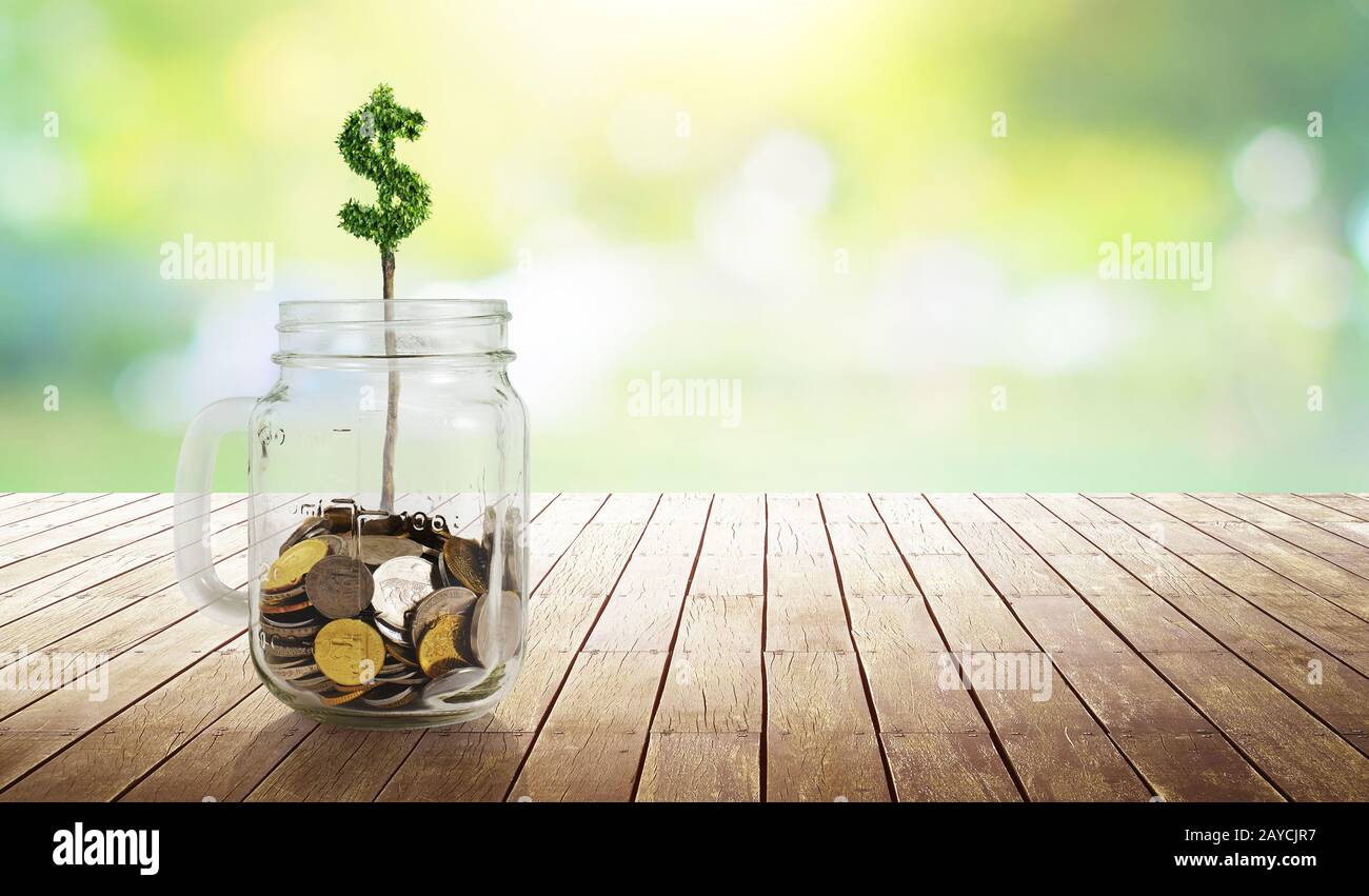 Monete nel vetro con la pianta di forma di soldi che cresce Foto Stock