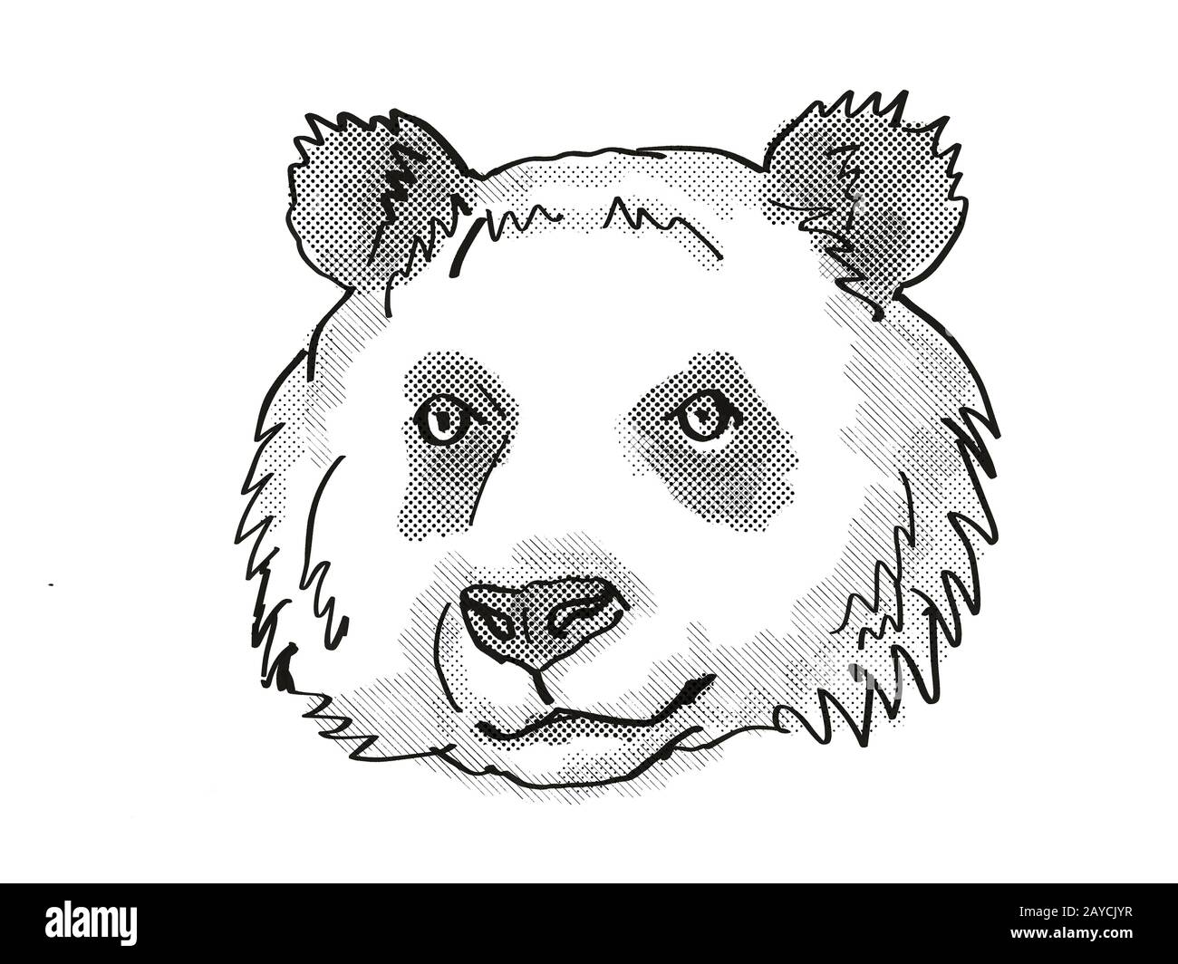 Gigante panda Endangered Wildlife Cartoon retro disegno Foto Stock