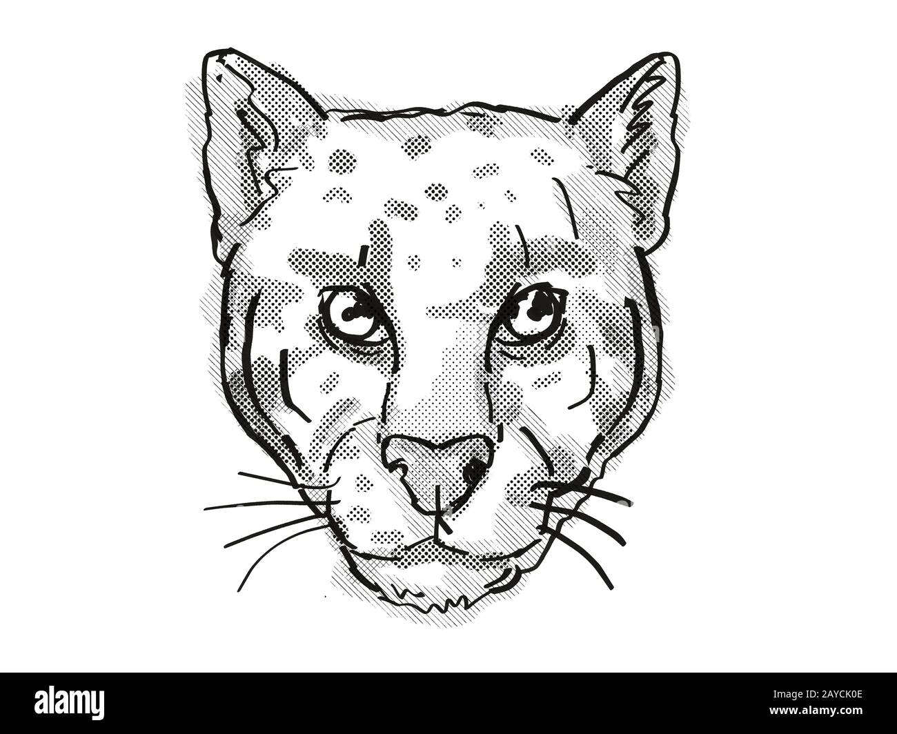 Retro disegno in stile cartoni animati di testa di un leopardo nuvolato o Neofelis nebulosa Foto Stock