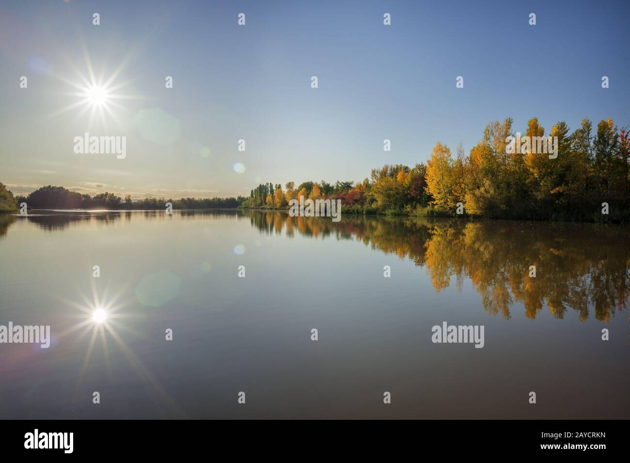 L'autunno lascia riflettere su un lago con stelle del sole nel Burgenland Foto Stock