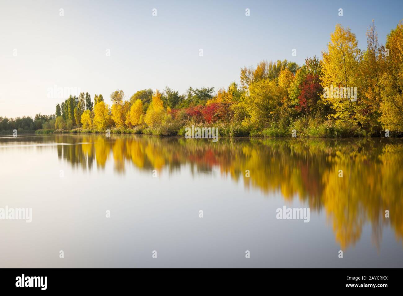 Autunno pomeriggio luce su un lago con alberi colorati in Burgenland Foto Stock