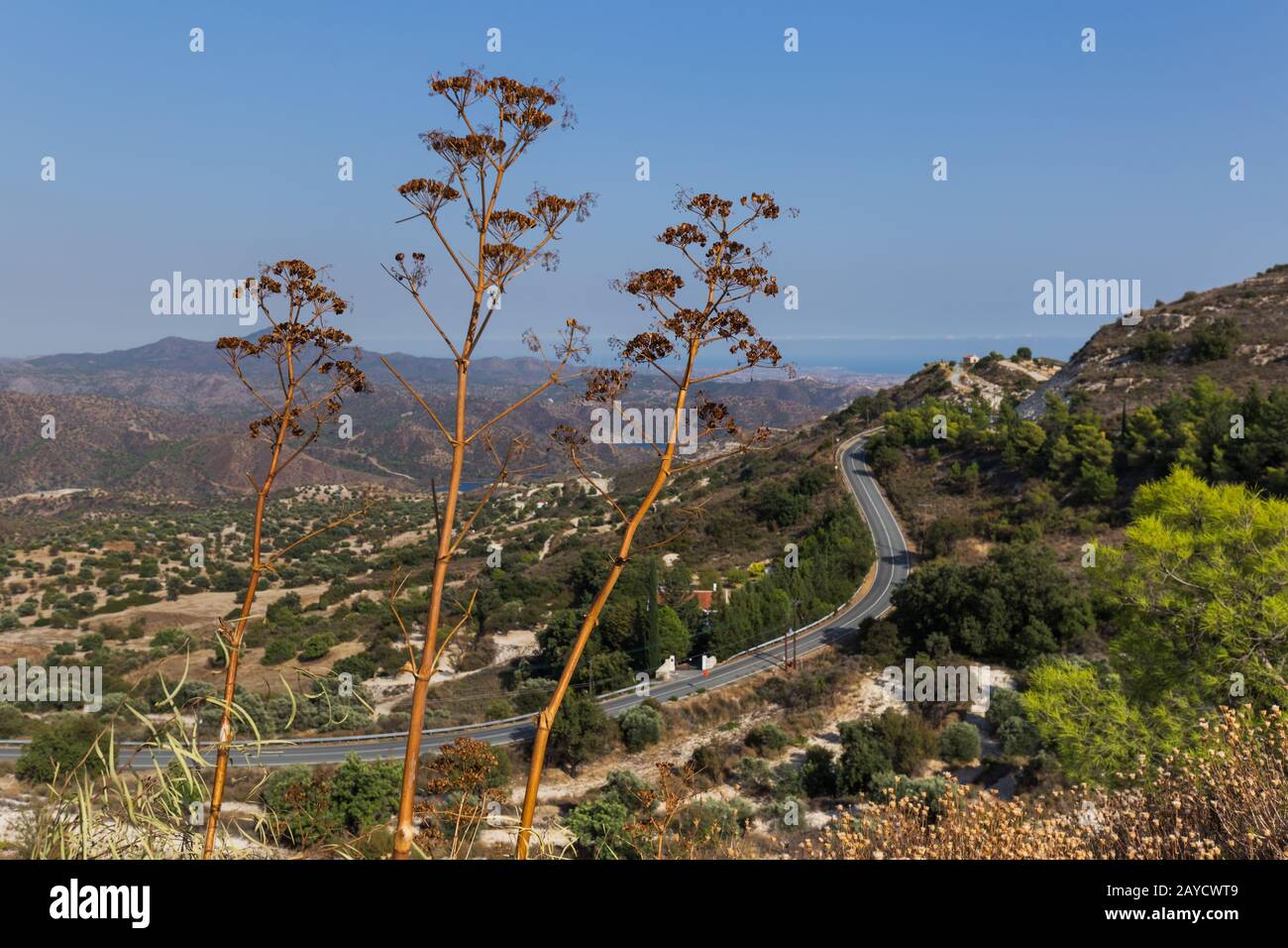 Strada di montagna vicino al villaggio Lefkara sull'isola di Cipro Foto Stock