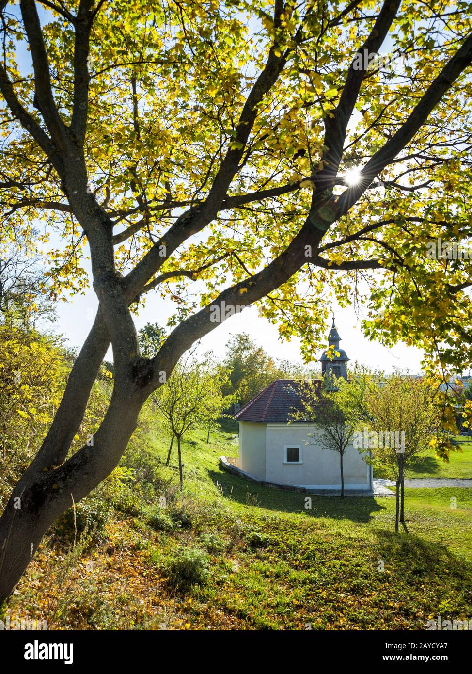 Albero con foglie autunnali e cahpel nel Burgenland Foto Stock