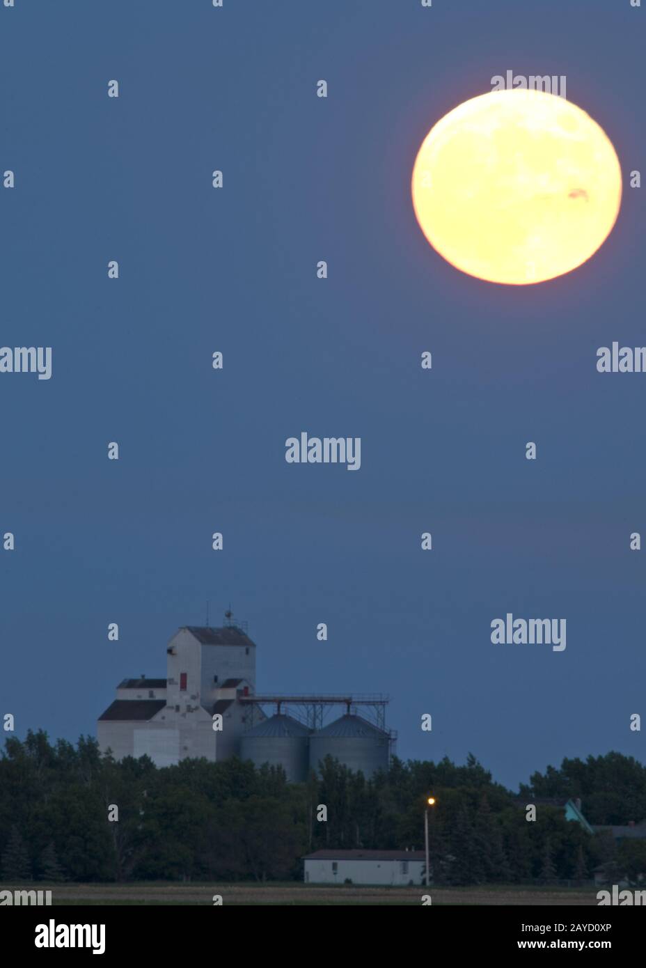 Moon Rise sull'ascensore Prairie Foto Stock
