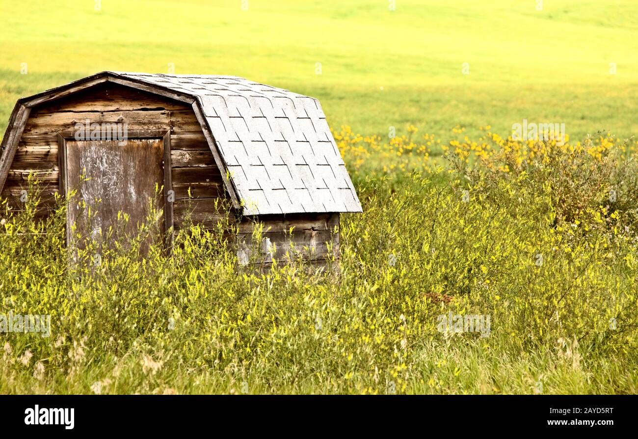 Prairie Barn Saskatchewan Foto Stock