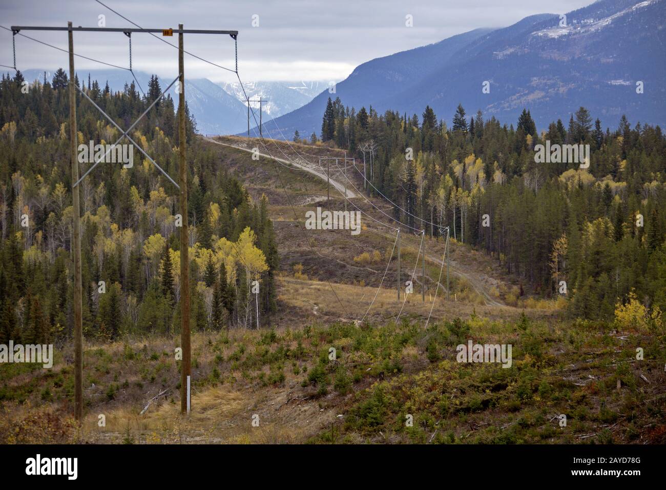 Golden British Columbia Foto Stock