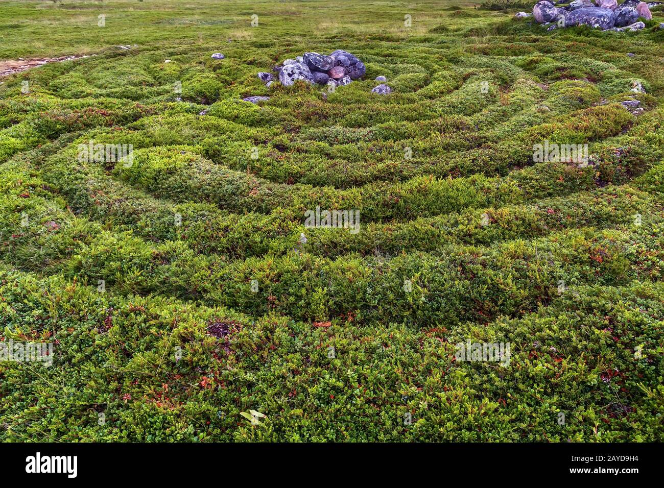 Grande isola di Zayatsky, Russia Foto Stock