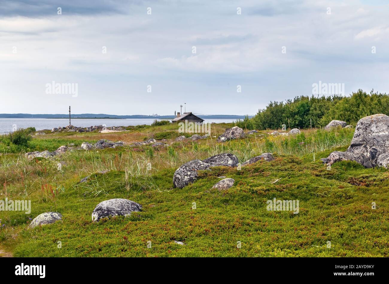 Grande isola di Zayatsky, Russia Foto Stock