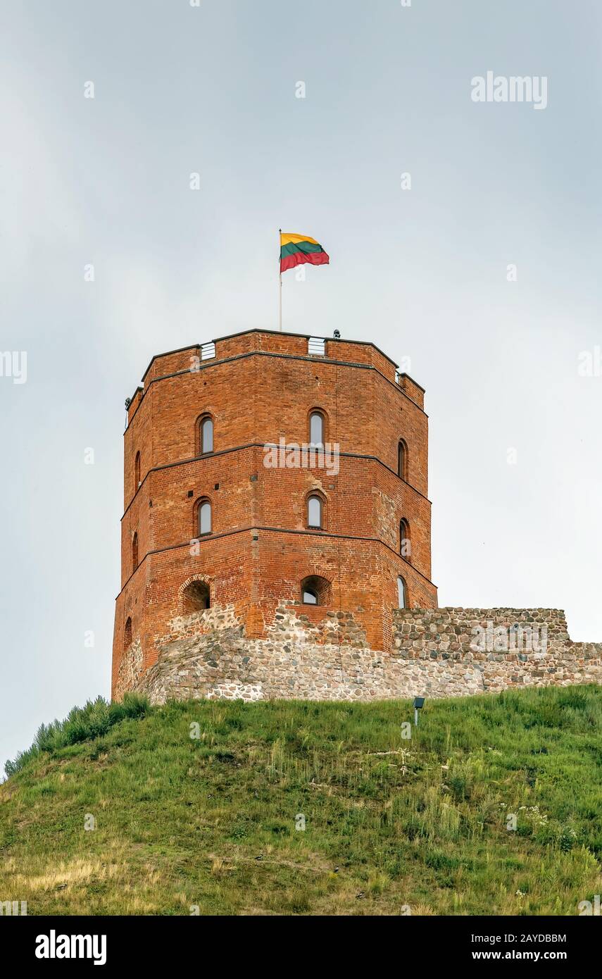 Gediminas' Torre, Vilnius, Lituania Foto Stock