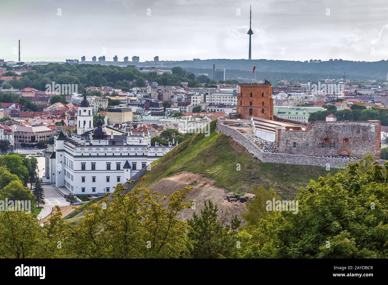 Castello di Vilnius, Lituania Foto Stock