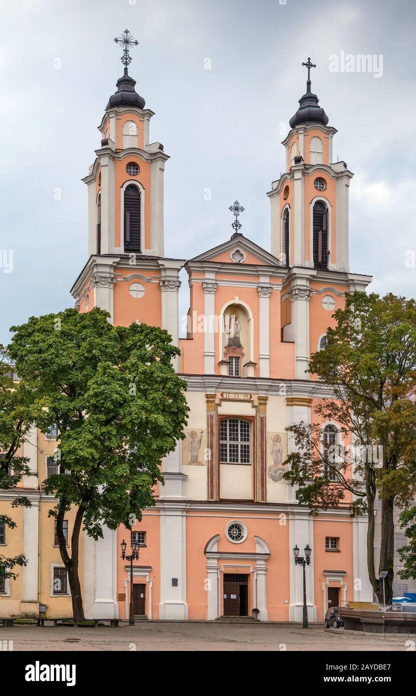 Chiesa di San Francesco Saverio, Kaunas, Lituania Foto Stock