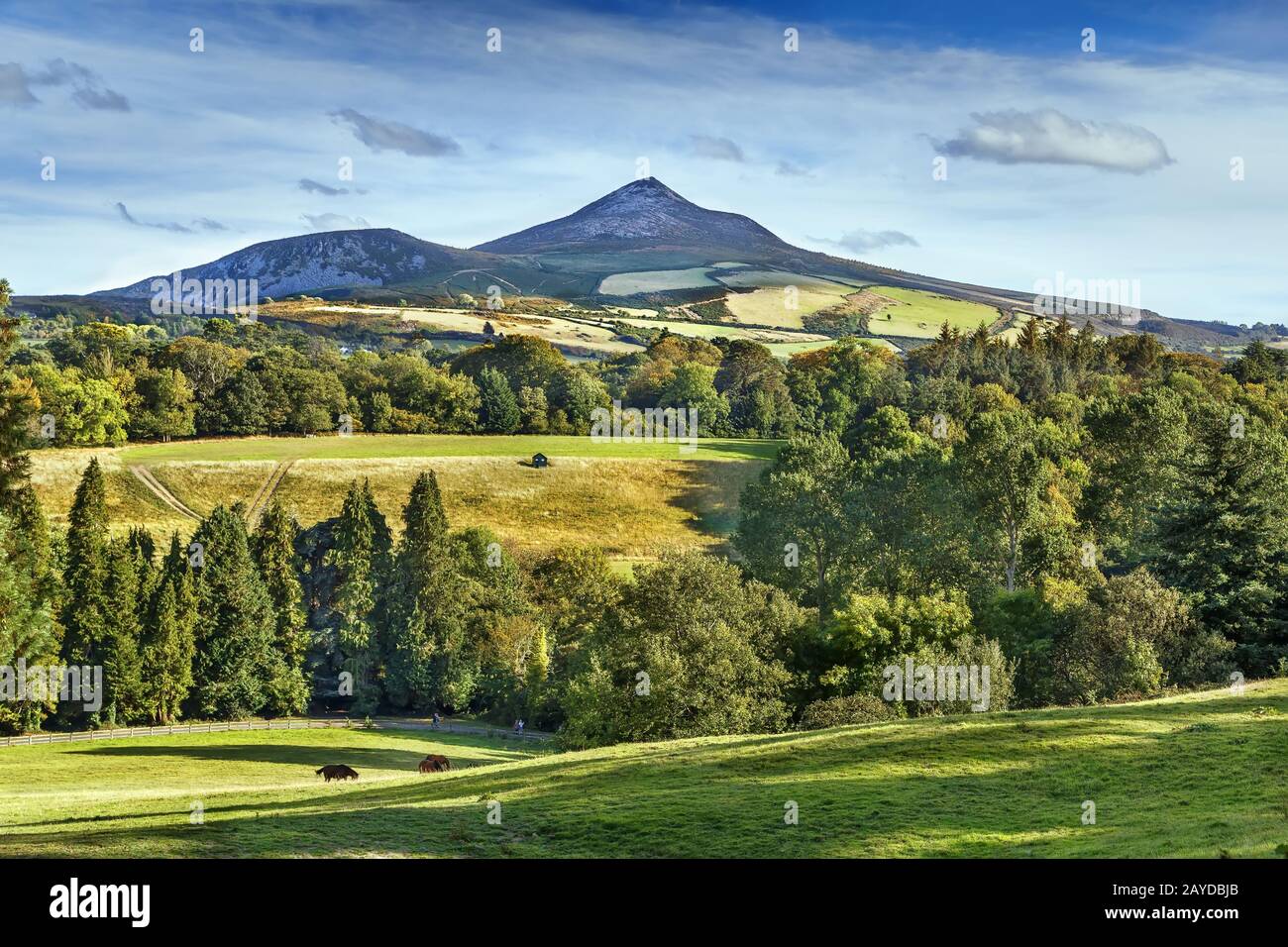 Vista su Old Long Hill, Irlanda Foto Stock