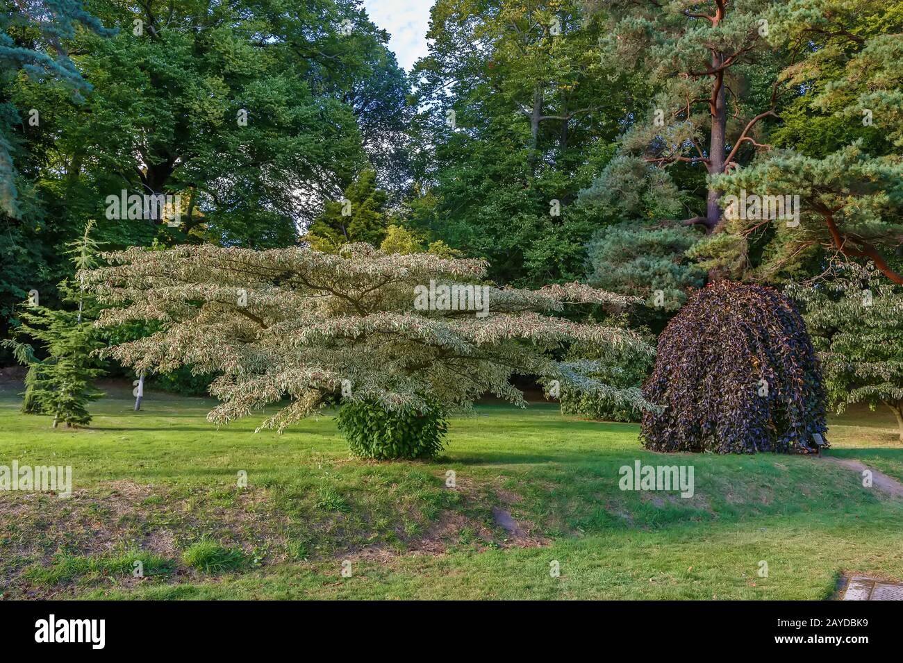 Powerscourt Park, Irlanda Foto Stock