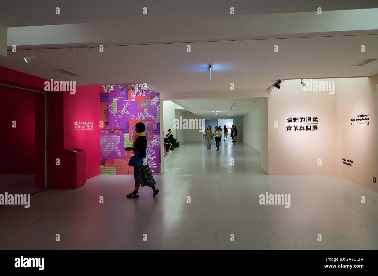Persone al Museo delle Belle Arti di Taipei Foto Stock