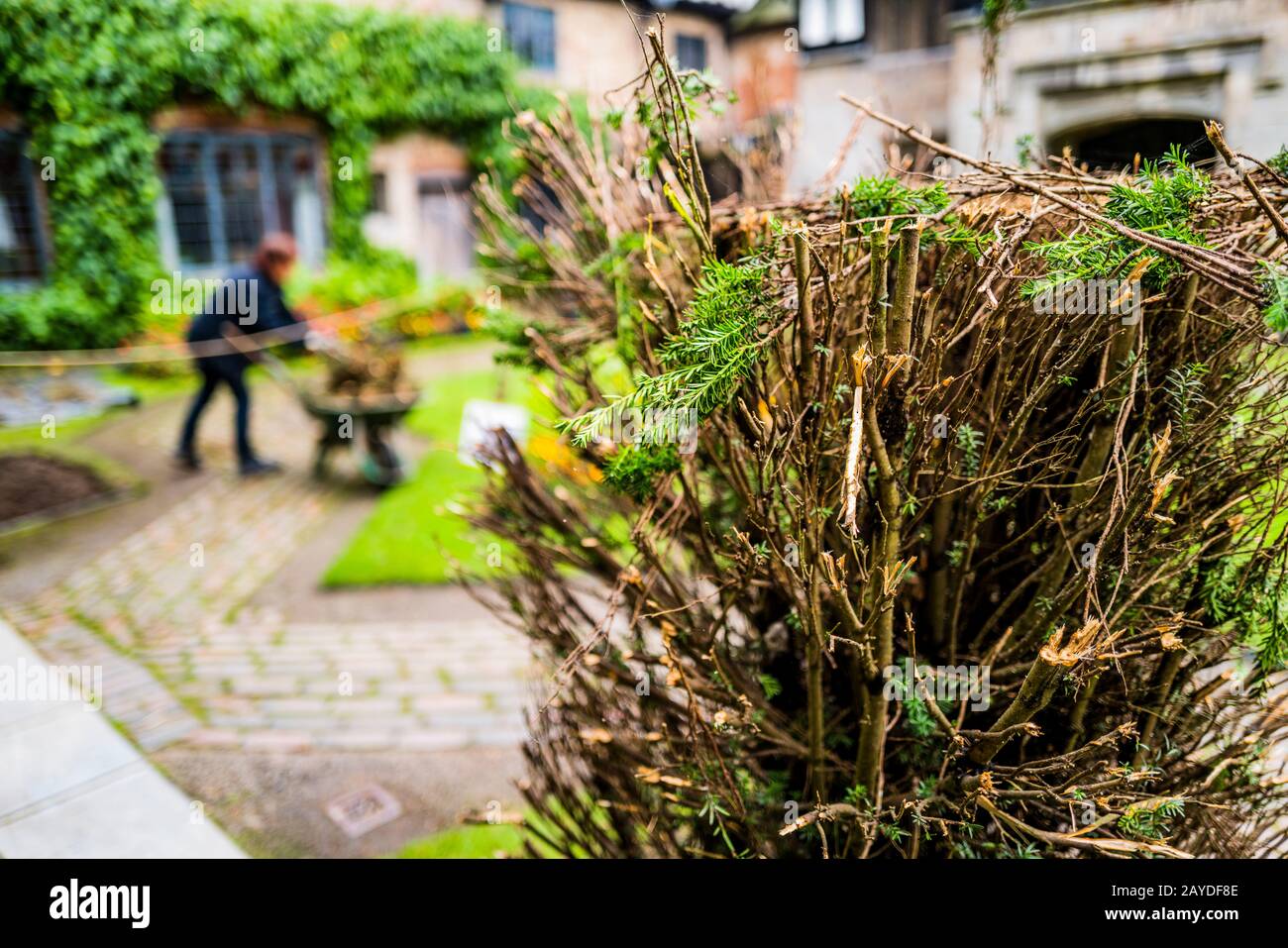 terreni di baddesley clinton, residenza signorile del warwickshire, inghilterra, regno unito Foto Stock