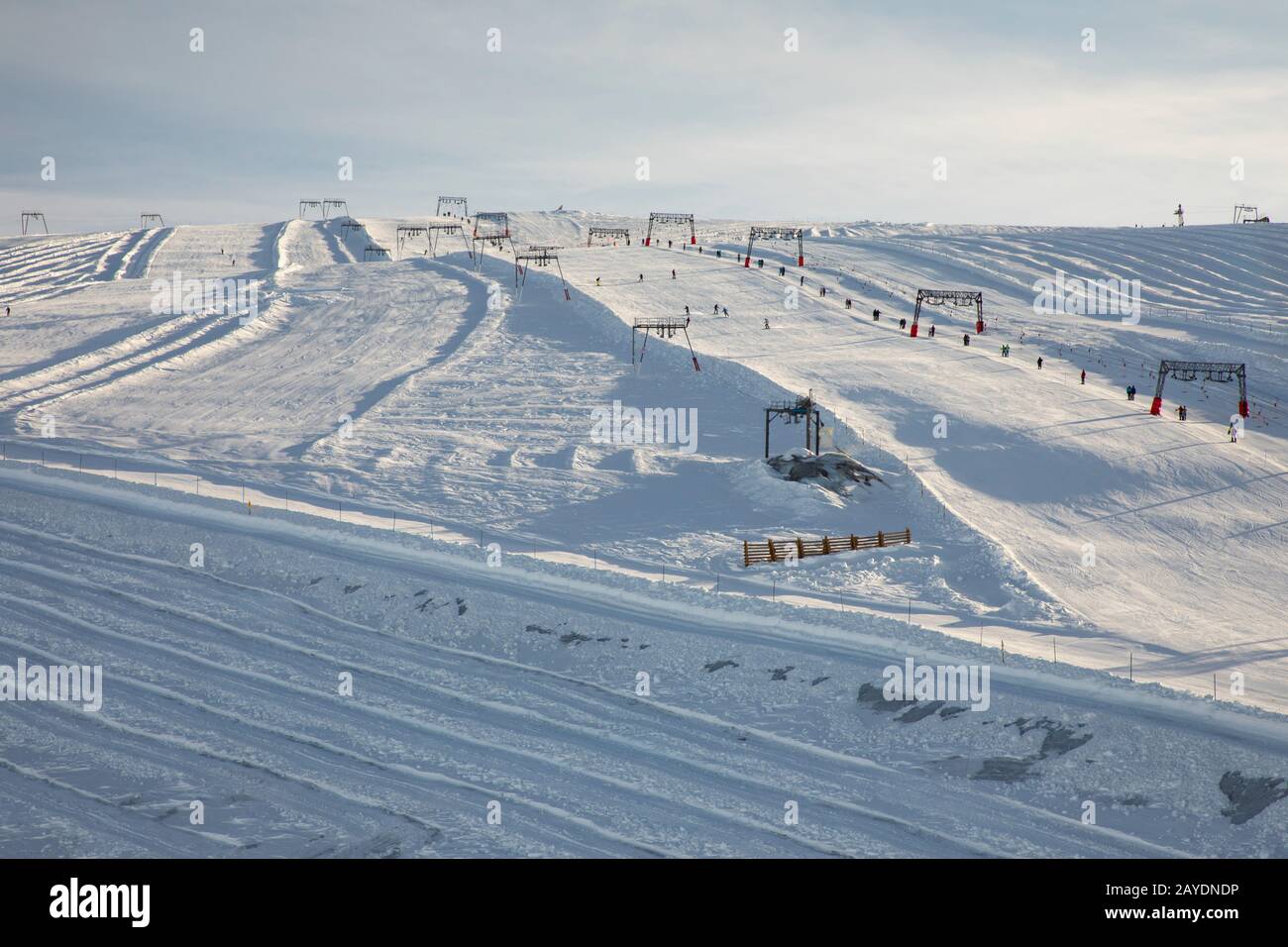Les DEUX ALPES, FRANCIA - 14th GENNAIO 2020; piste Da sci Per La Gente in cima al ghiacciaio Foto Stock