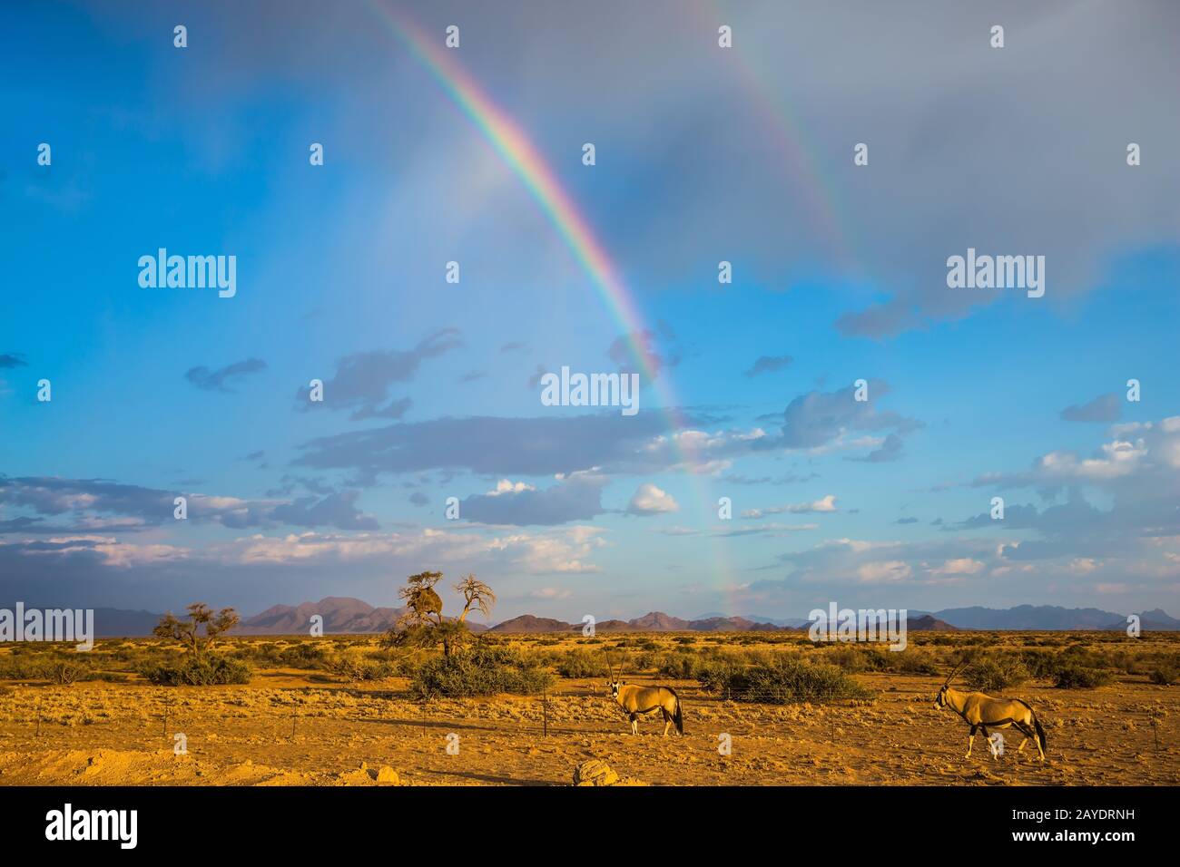 L'arcobaleno sul deserto in Namibia Foto Stock