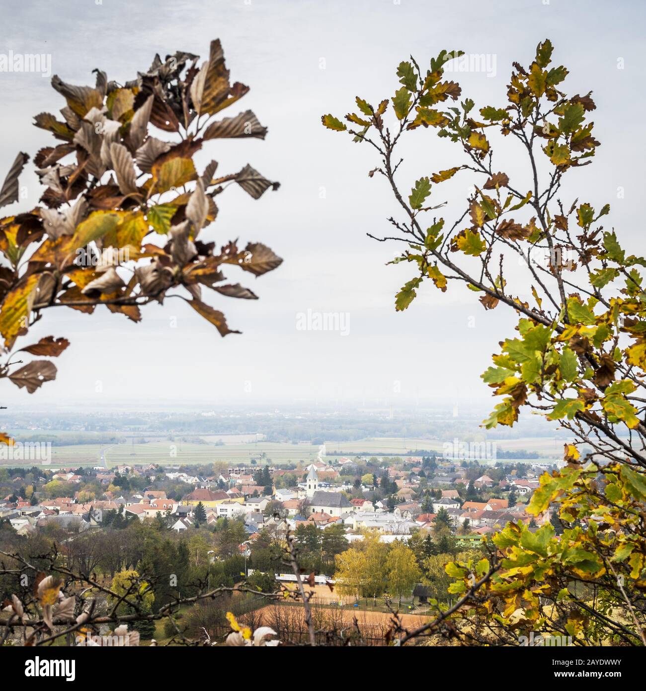 Villaggio auf Hornstein in Austria con foglie autunnali Foto Stock
