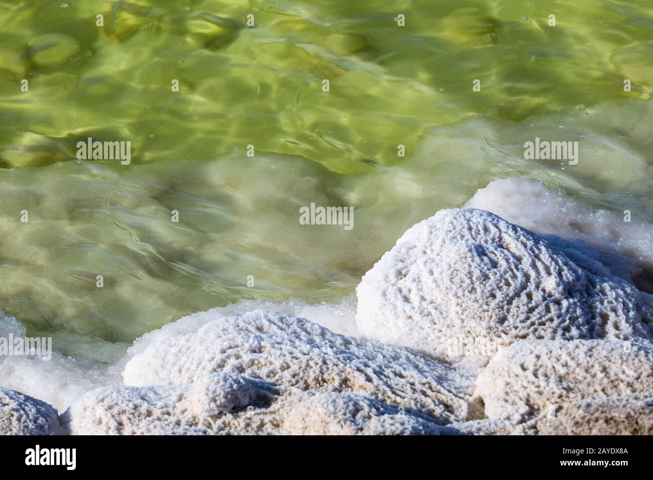 lago salato primo piano di salamoia e cristalli di sale Foto Stock
