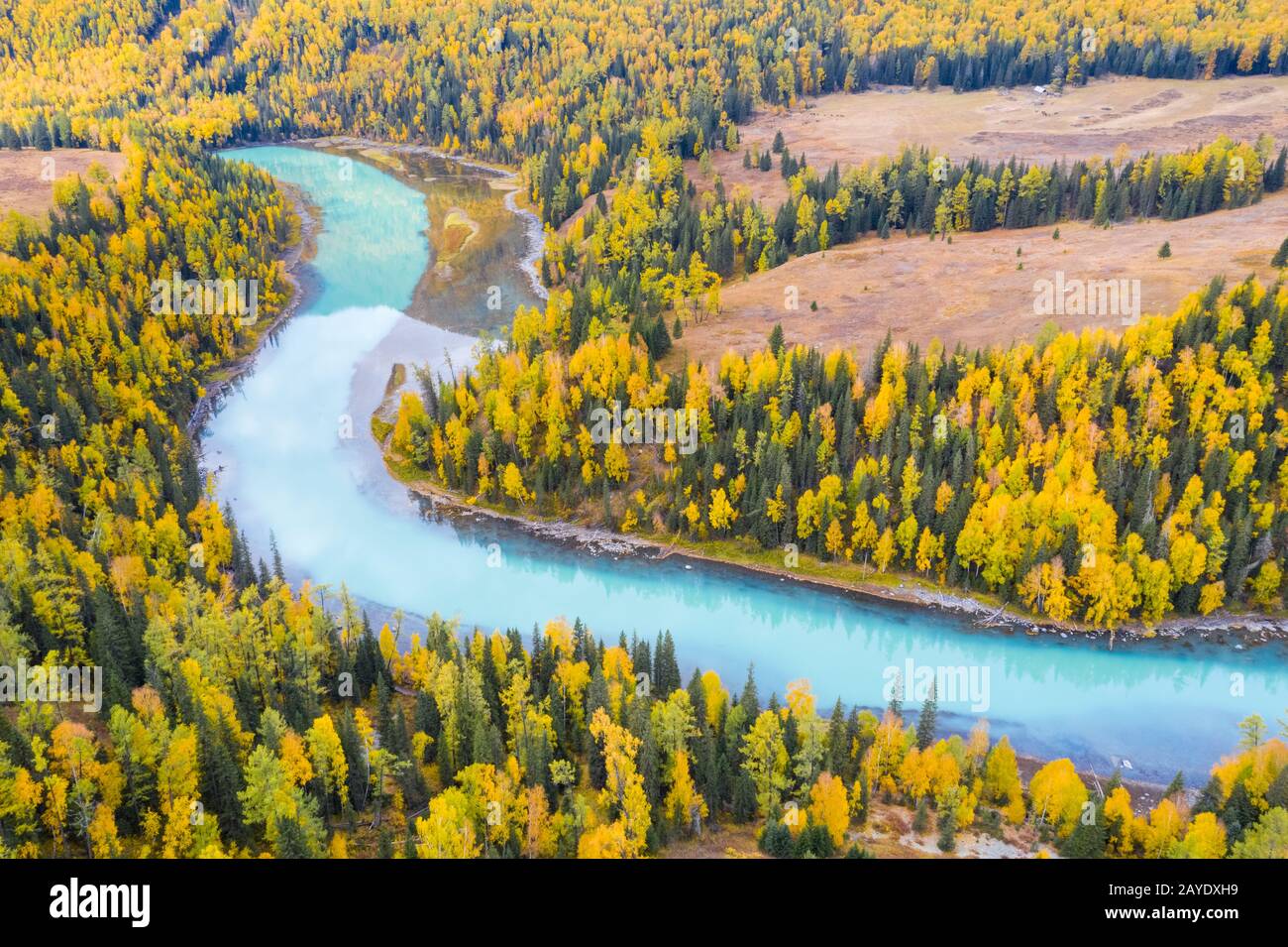 xinjiang kanas paesaggio del fiume in autunno Foto Stock