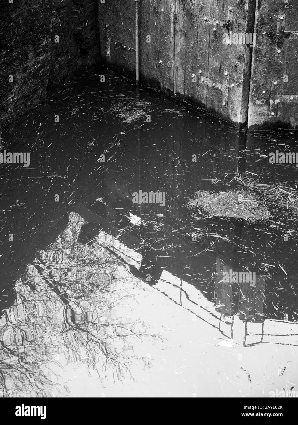 Fotografia in bianco e nero di Hungerford Lock, Kennet e Avon Canal, Berkshire, Inghilterra, Regno Unito, GB. Foto Stock