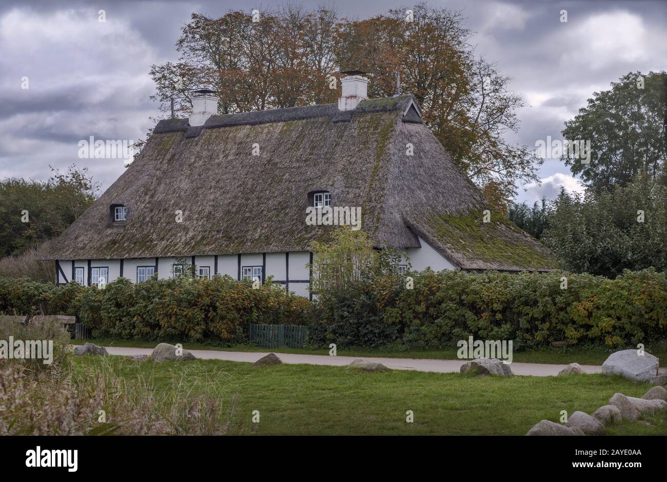 Casa di canna sullo Schlei in Schleswig-Holstein Foto Stock