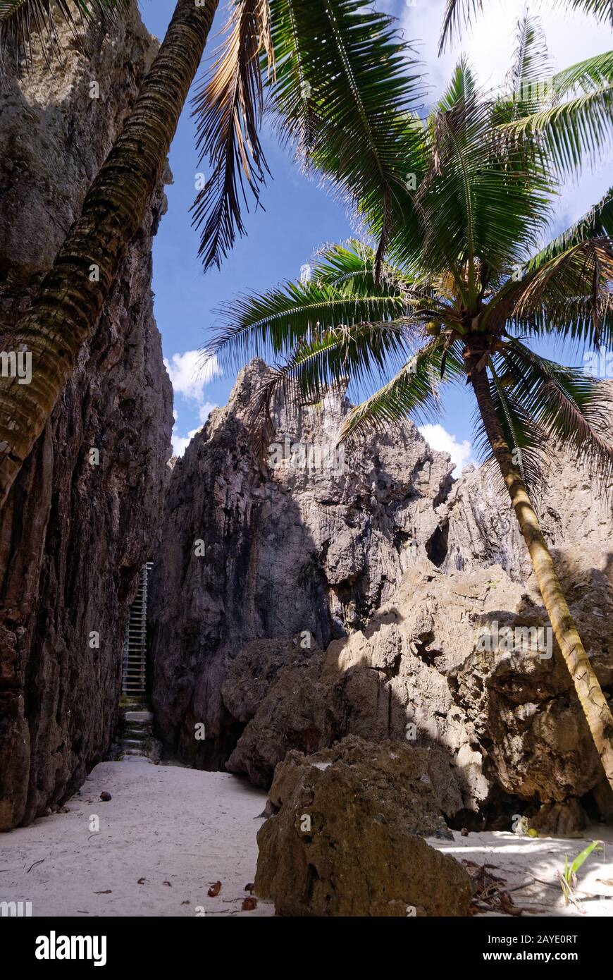 Passeggia attraverso le uniche torri coralline per trovare la scala verso il Togo Chasm a Niue Foto Stock