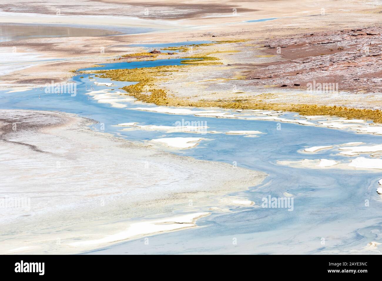 Cile deserto Atacama lagune di sale colorate Foto Stock