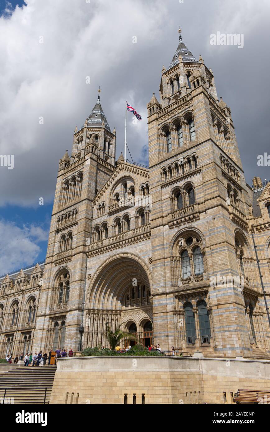 Museo di Storia Naturale, Londra, Gran Bretagna Foto Stock