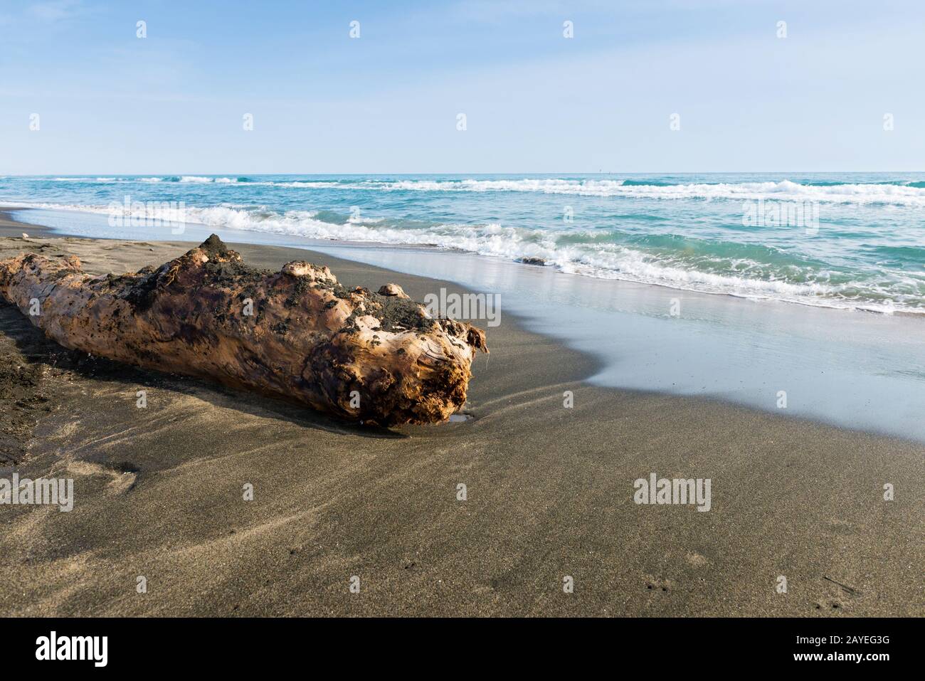 Bellissimo mare, la spiaggia di sabbia nera e big old log Foto Stock