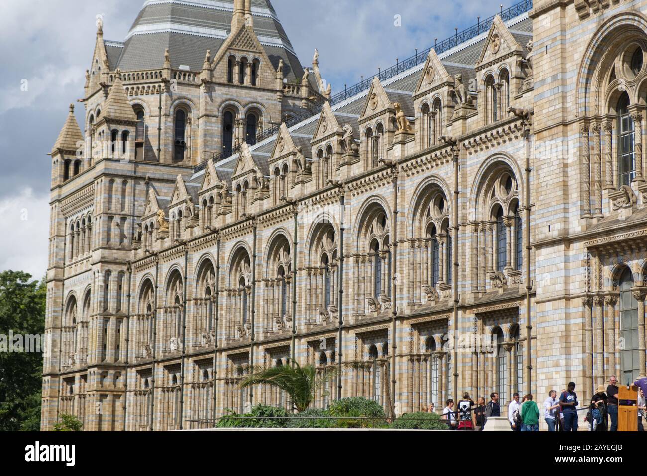 Museo di Storia Naturale, Londra, Gran Bretagna Foto Stock