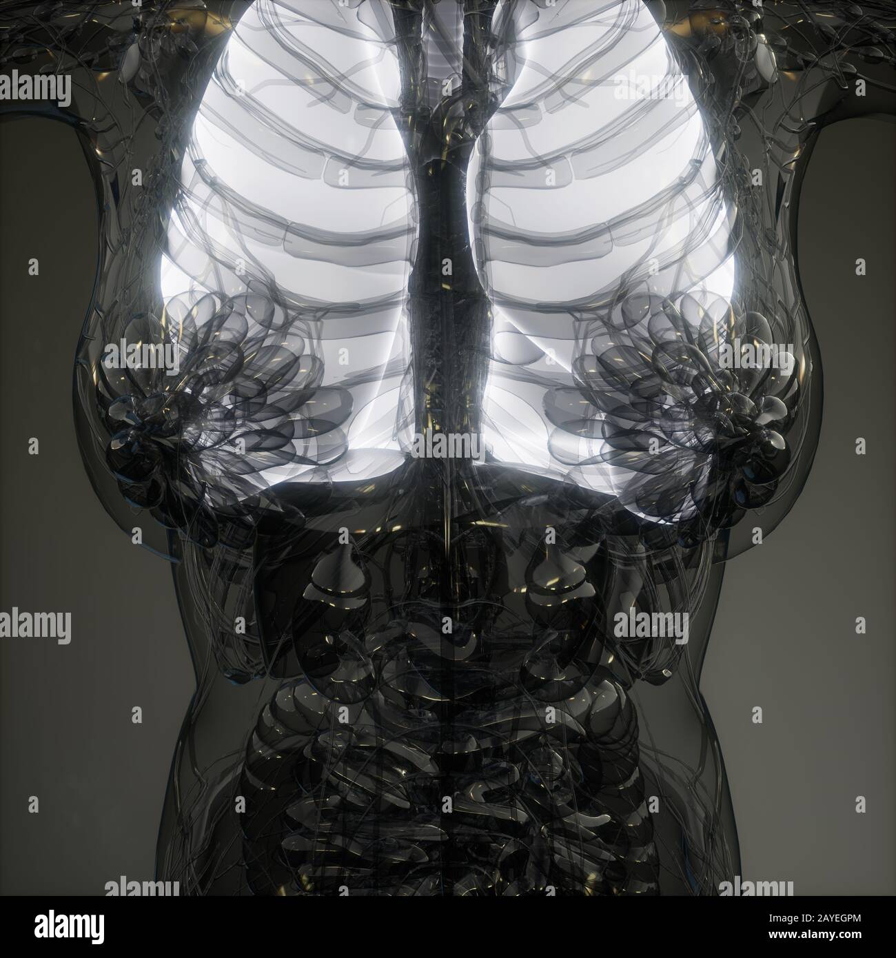 Polmoni umani esame radiologico Foto Stock