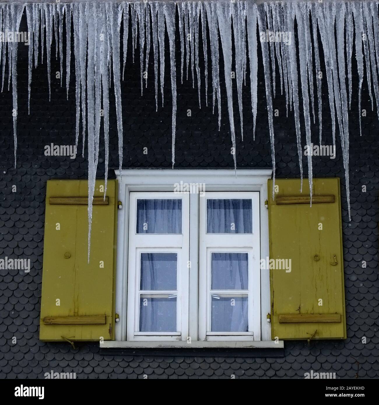 Ghiaccioli di fronte a un muro di casa Foto Stock