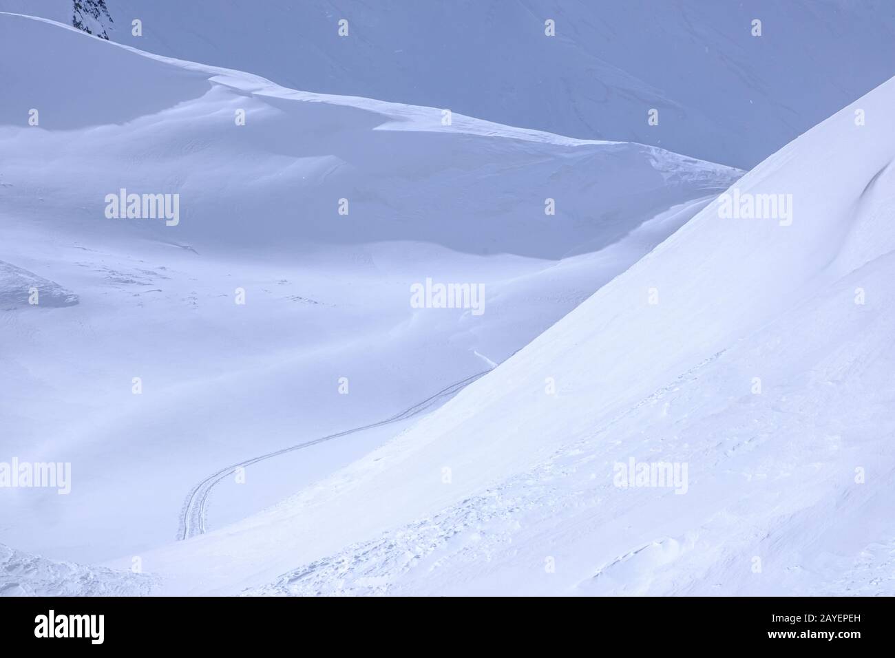 Sci Di Fondo, Alpi Svizzere Foto Stock