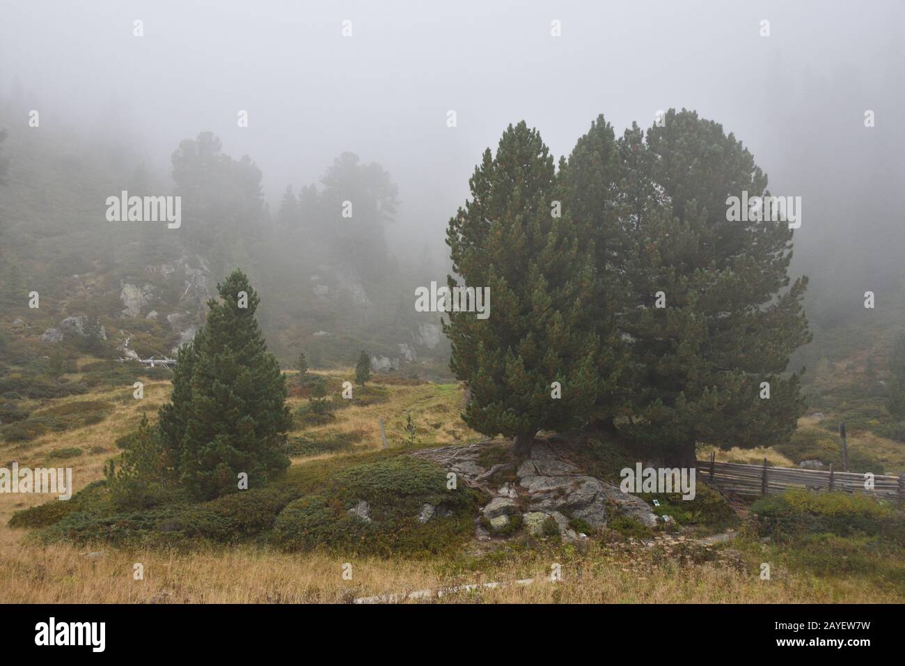 Alpi Gurktal con Windebensee Foto Stock