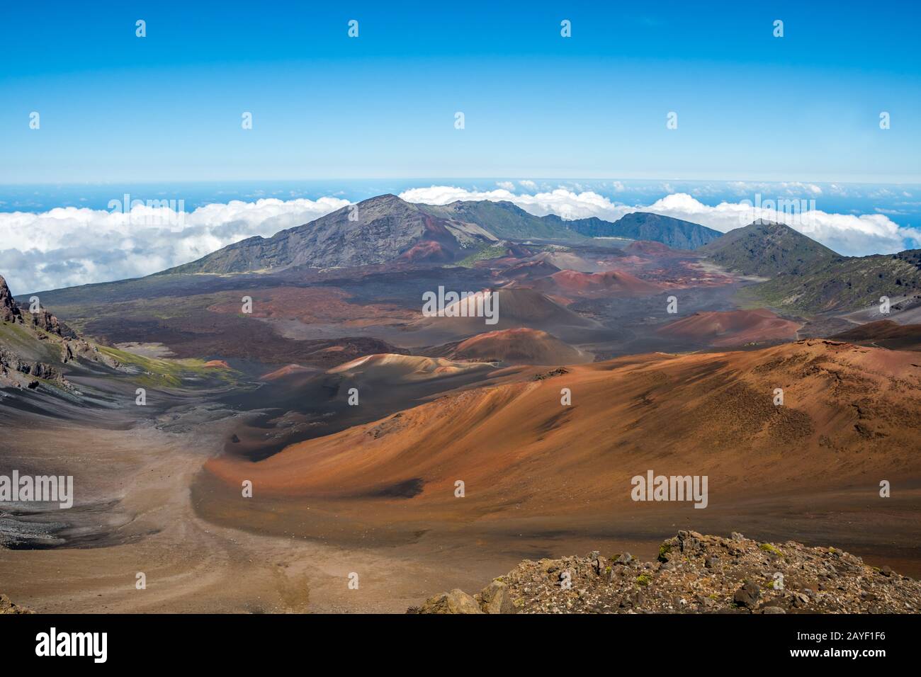 Vista sulla natura in Maui, Hawaii Foto Stock