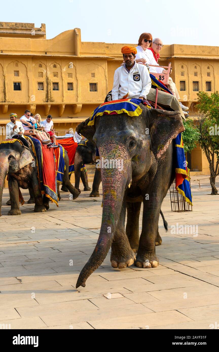 Forte Amber, Jaipur, Rajasthan, India Foto Stock