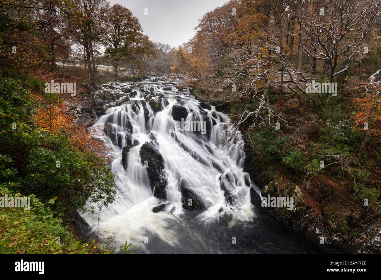 Swallow Falls sulla Afon Llugwy nel Parco Nazionale di Snowdonia. Foto Stock