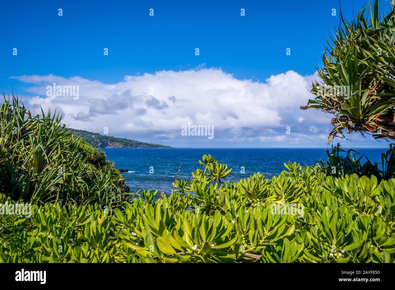 Vista sulla natura in Maui, Hawaii Foto Stock
