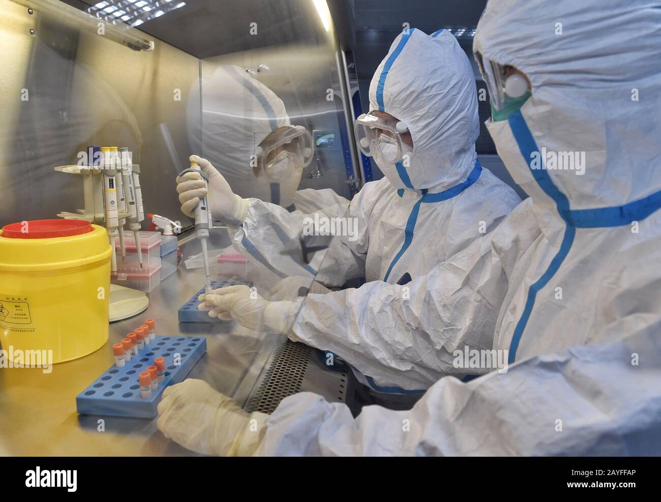 Chengdu, Cina. 15th Feb 2020. I membri del personale lavorano presso il laboratorio completo di salute e quarantena del Sichuan International Travel Health Care Center (Chengdu Customs Port Outpatient Department), a Chengdu, nel Sichuan della Cina del sud-ovest, 15 febbraio 2020. Quindici professionisti hanno formato una 'squadra di commando anti-epidemia', prendendo a turno ai loro posti in gruppi giornalieri per assicurare che i campioni siano testati tempestivamente. Credito: Xinhua/Alamy Live News Foto Stock