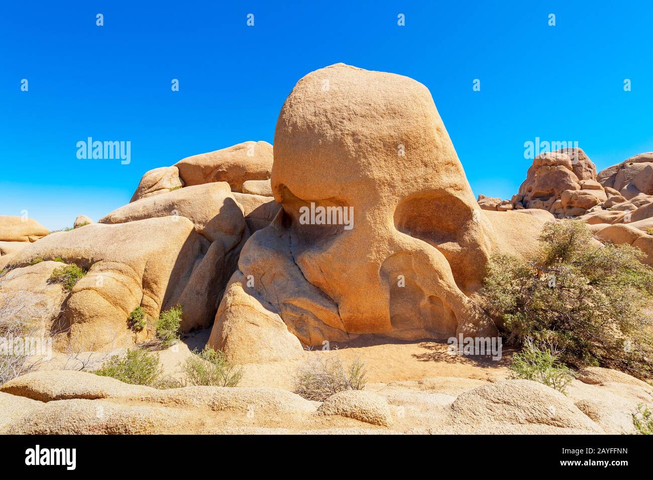 Rock a forma di cranio nel Joshua Tree National Park USA Foto Stock