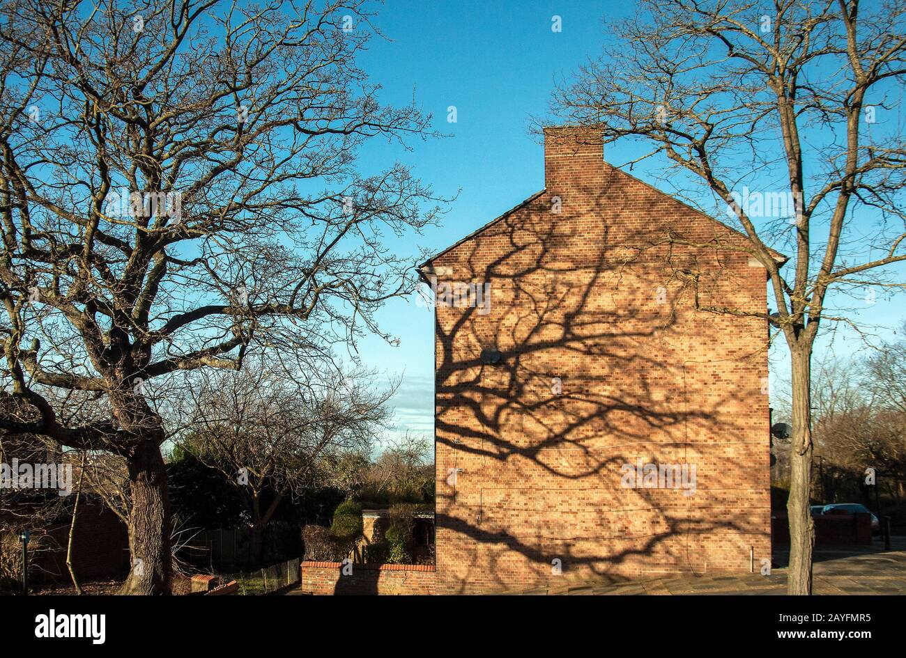Ombra di rami di albero sul lato di una casa di mattoni. Caldi colori estivi e umore, lunghe ombre pomeridiane. Foto Stock