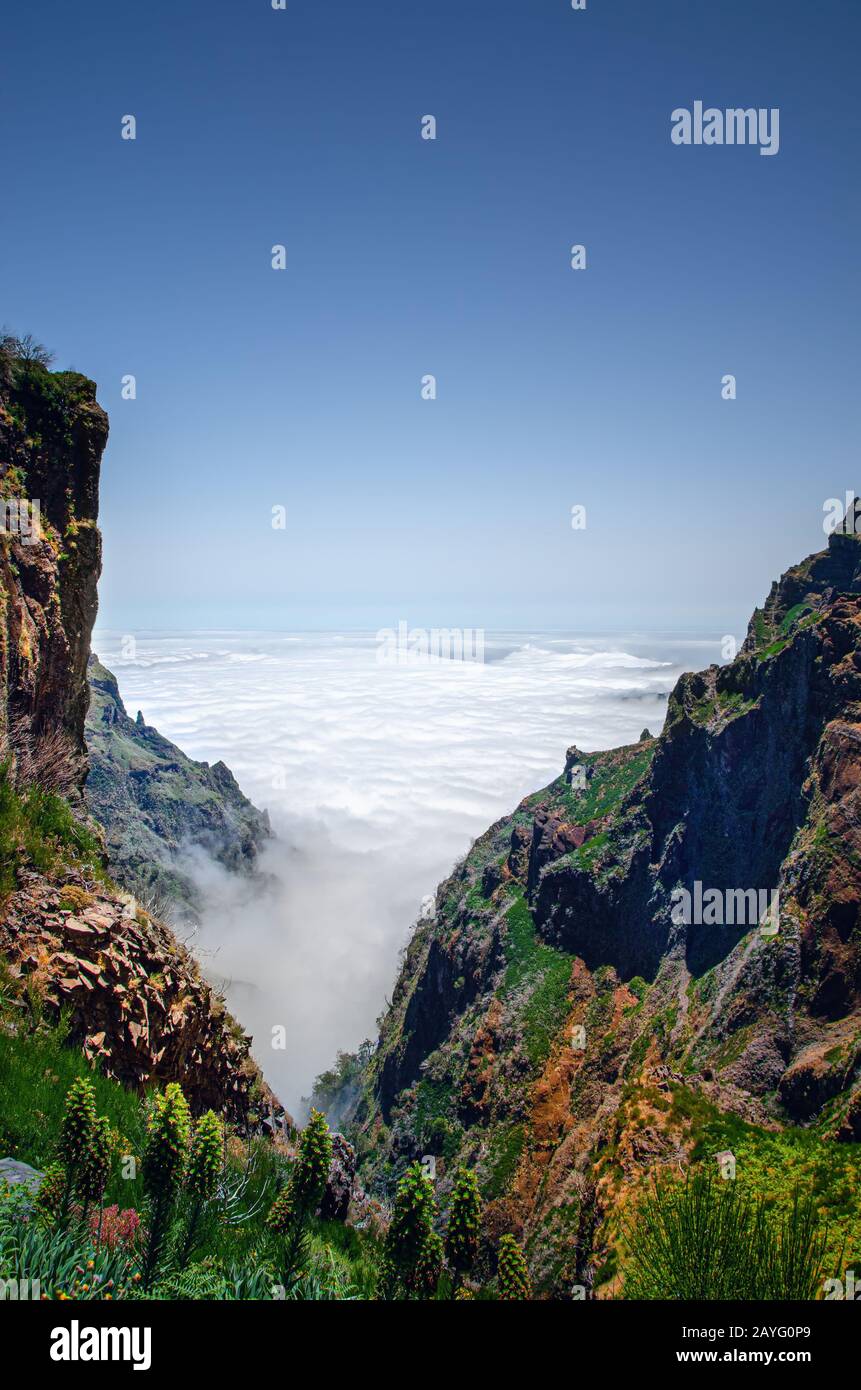 Sfondo con il paesaggio dell'isola di Madeira. Vista sulla gola o burrone da sopra le nuvole, che stanno nascondendo il terreno. Le montagne ripide sono coperte di Foto Stock