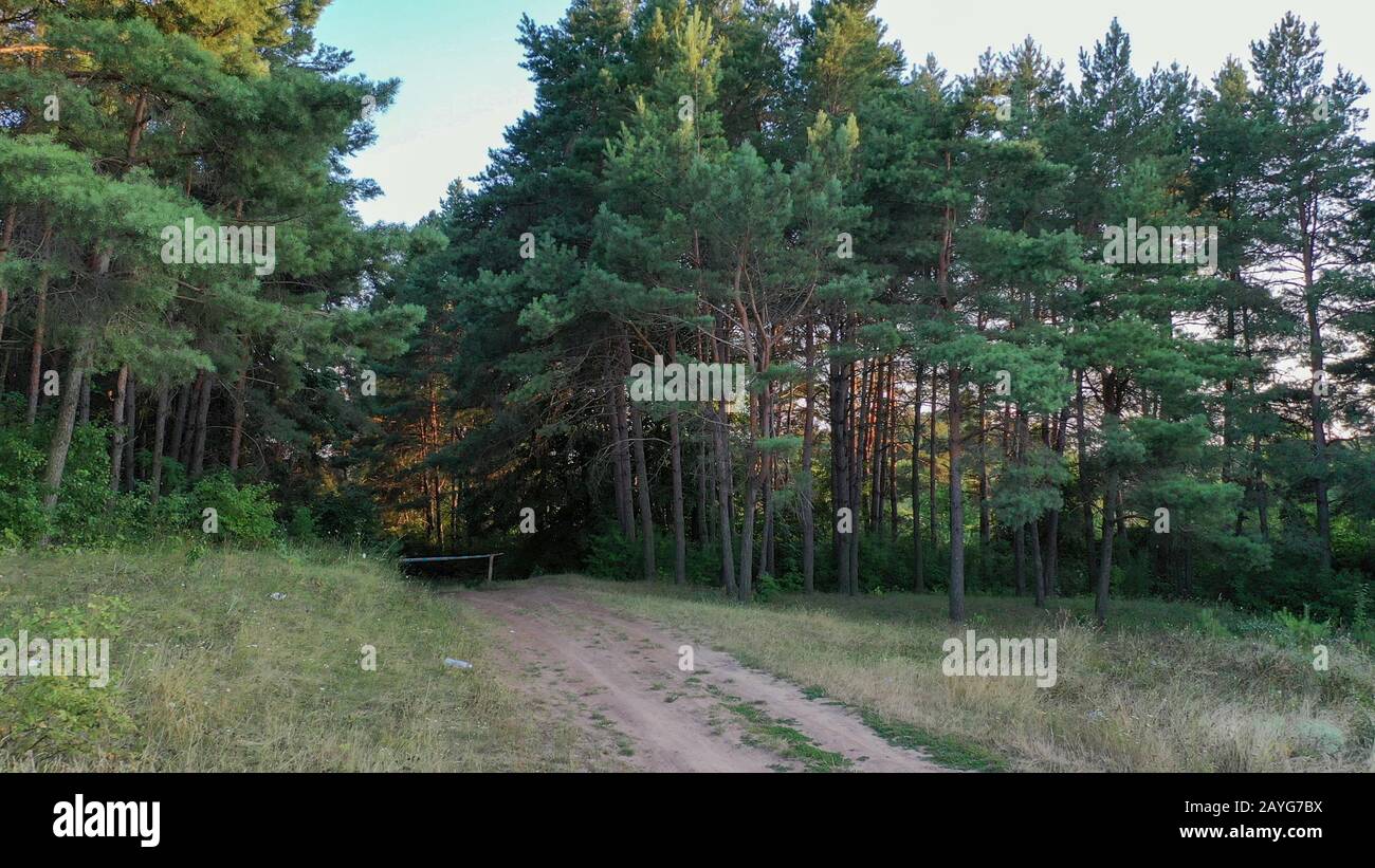Chiuso ingresso alla pineta, serata estiva. Foto Stock