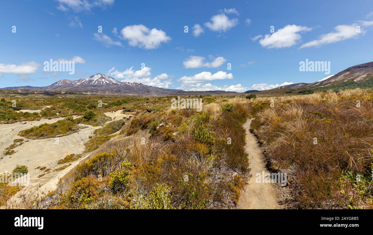 Monte Ruapehu, Tongariro National Park, Nuova Zelanda Foto Stock