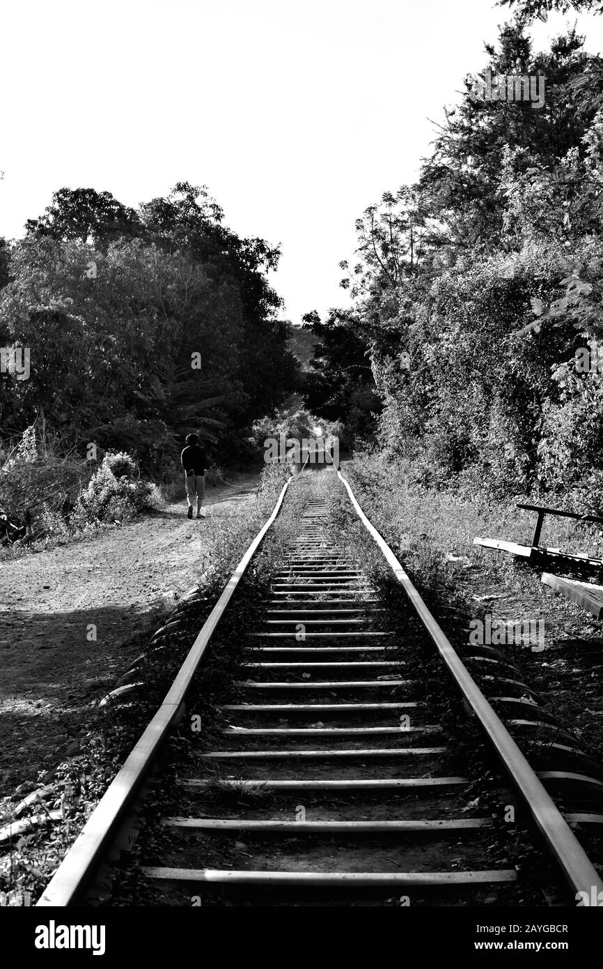 Vista sulla campagna cambogiana dal famoso treno di bambù Foto Stock