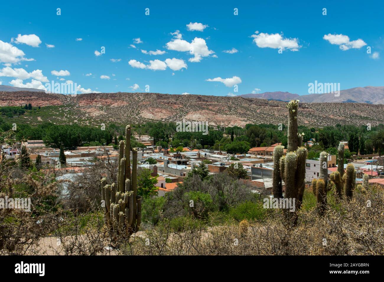 Vista della città di Humahuaca nelle Ande, vicino Purmamarca, Jujuy provincia, Argentina. Foto Stock