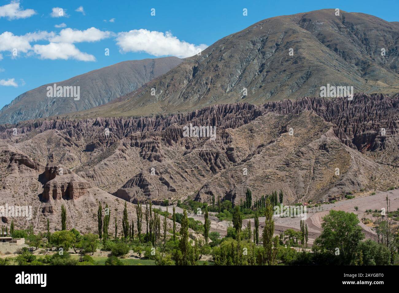 Vista sulla verde valle vicino Purmamarca, Jujuy provincia, Argentina. Foto Stock