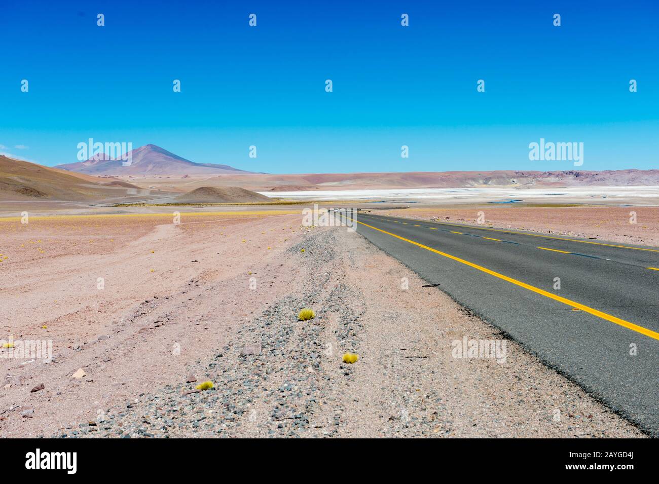 Strada al confine argentino/cileno al Passo Jama nelle Ande. Foto Stock