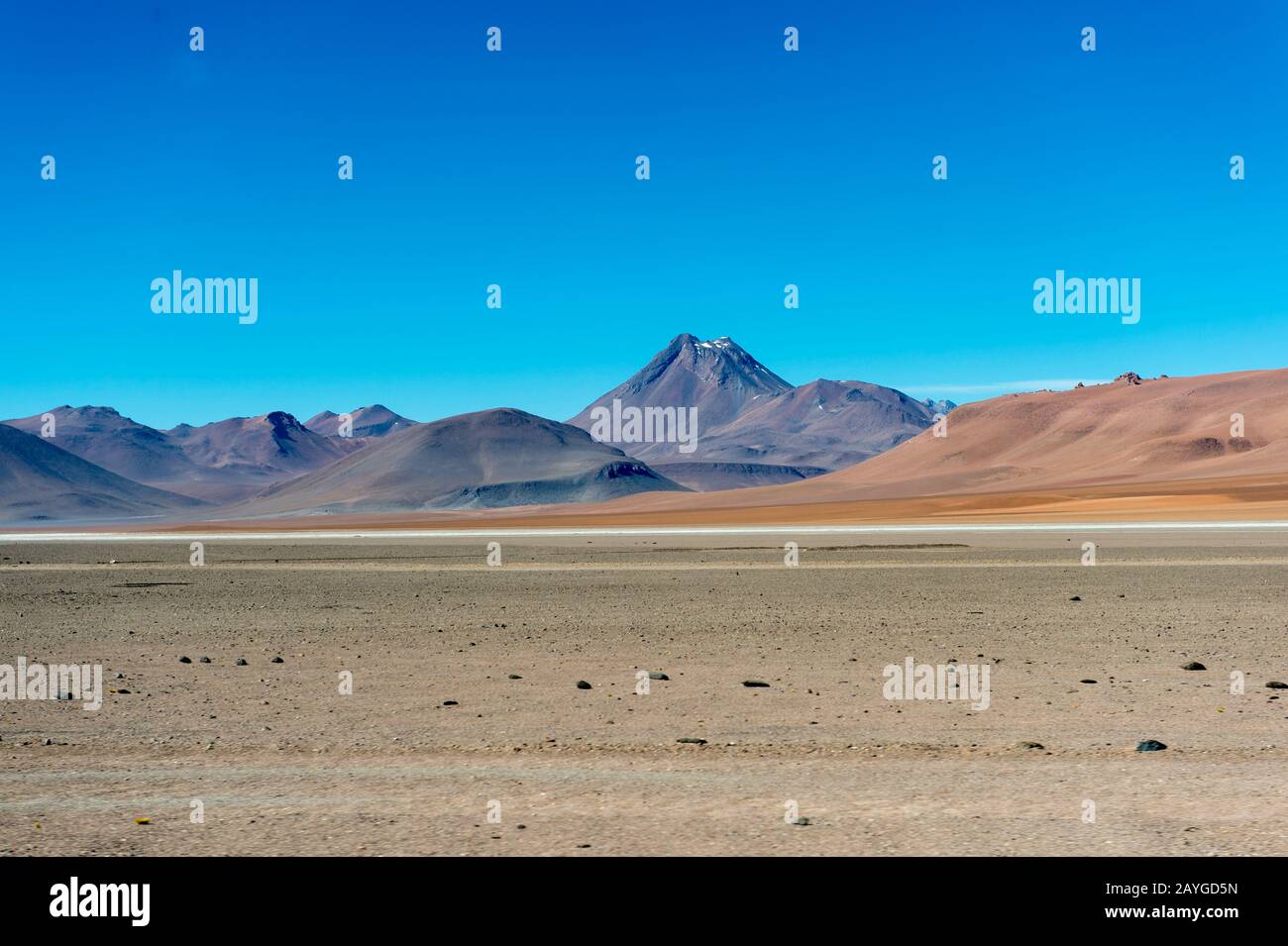 Paesaggio vicino al Passo Jama nelle Ande, in Cile. Foto Stock